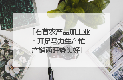 石首农产品加工业：开足马力生产忙 产销两旺势头好