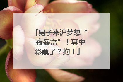 男子来沪梦想“一夜暴富”！真中彩票了？拘！