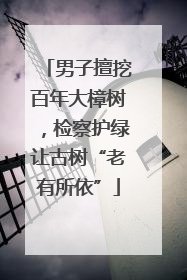 男子擅挖百年大樟树，检察护绿让古树“老有所依”