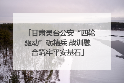 甘肃灵台公安“四轮驱动”砺精兵 战训融合筑牢平安基石