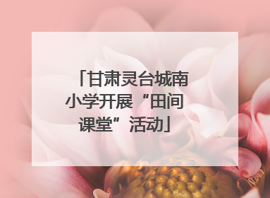 甘肃灵台城南小学开展“田间课堂”活动