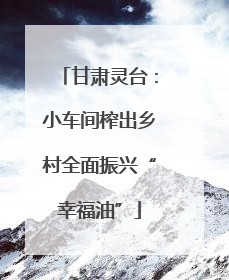 甘肃灵台：小车间榨出乡村全面振兴“幸福油”