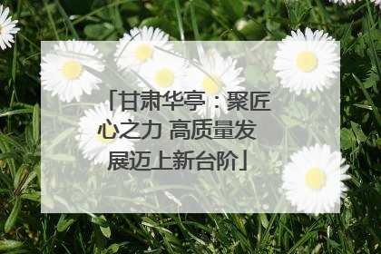 甘肃华亭：聚匠心之力 高质量发展迈上新台阶