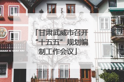 甘肃武威市召开“十五五”规划编制工作会议
