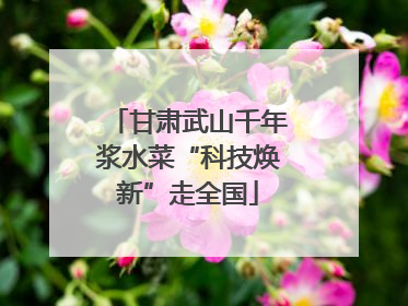 甘肃武山千年浆水菜“科技焕新”走全国