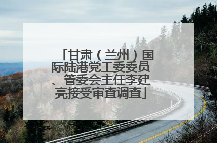 甘肃（兰州）国际陆港党工委委员、管委会主任李建亮接受审查调查