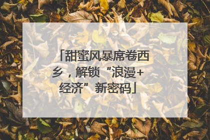 甜蜜风暴席卷西乡，解锁“浪漫+经济”新密码