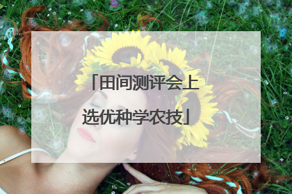 田间测评会上选优种学农技