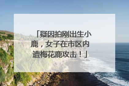 疑因拍刚出生小鹿，女子在市区内遭梅花鹿攻击！
