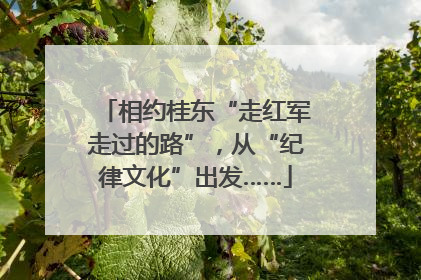 相约桂东“走红军走过的路”，从“纪律文化”出发……