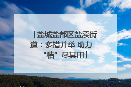 盐城盐都区盐渎街道：多措并举 助力“秸”尽其用