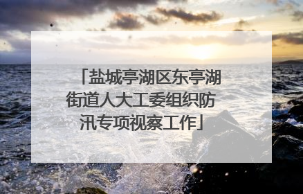 盐城亭湖区东亭湖街道人大工委组织防汛专项视察工作