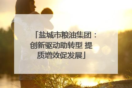 盐城市粮油集团：创新驱动助转型 提质增效促发展