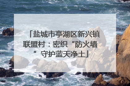 盐城市亭湖区新兴镇联盟村：密织“防火墙”守护蓝天净土