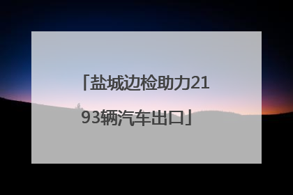 盐城边检助力2193辆汽车出口