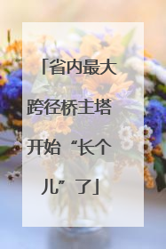 省内最大跨径桥主塔开始“长个儿”了