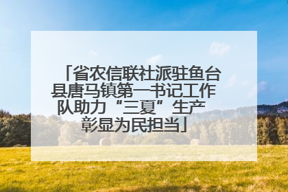 省农信联社派驻鱼台县唐马镇第一书记工作队助力“三夏”生产 彰显为民担当