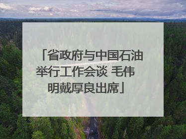 省政府与中国石油举行工作会谈 毛伟明戴厚良出席
