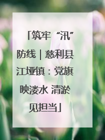 筑牢“汛”防线｜慈利县江垭镇：党旗映溇水 清淤见担当