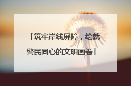 筑牢岸线屏障，绘就警民同心的文明画卷