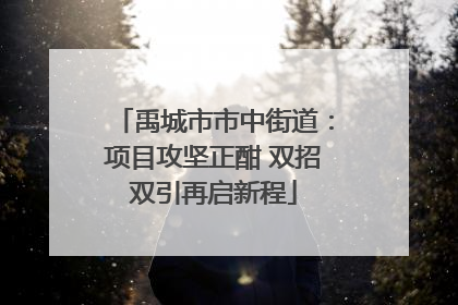禹城市市中街道：项目攻坚正酣 双招双引再启新程