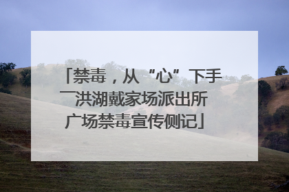 禁毒，从“心”下手――洪湖戴家场派出所广场禁毒宣传侧记