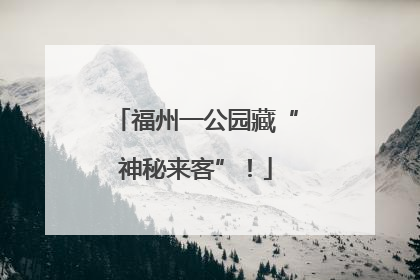 福州一公园藏“神秘来客”！