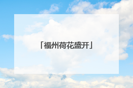 福州荷花盛开