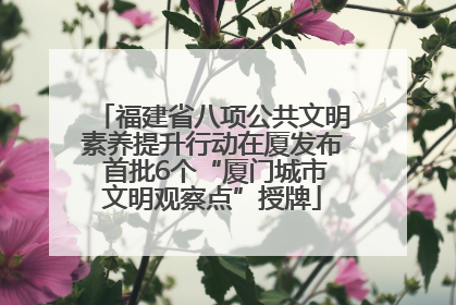 福建省八项公共文明素养提升行动在厦发布 首批6个“厦门城市文明观察点”授牌