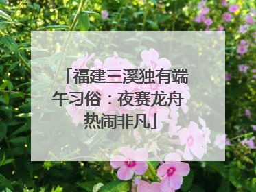 福建三溪独有端午习俗：夜赛龙舟 热闹非凡