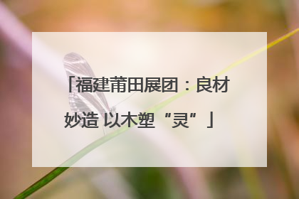 福建莆田展团：良材妙造 以木塑“灵”
