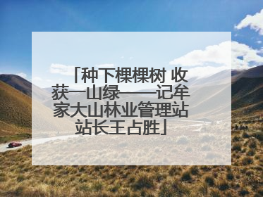 种下棵棵树 收获一山绿——记牟家大山林业管理站站长王占胜