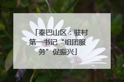 秦巴山区：驻村第一书记“组团服务”促振兴