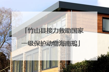 竹山县接力救助国家一级保护动物海南鳽