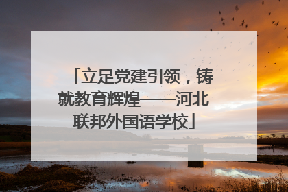 立足党建引领，铸就教育辉煌——河北联邦外国语学校