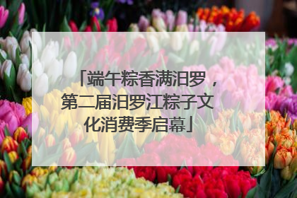 端午粽香满汨罗，第二届汨罗江粽子文化消费季启幕