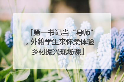 第一书记当“导师”，外籍学生来怀柔体验乡村振兴现场课