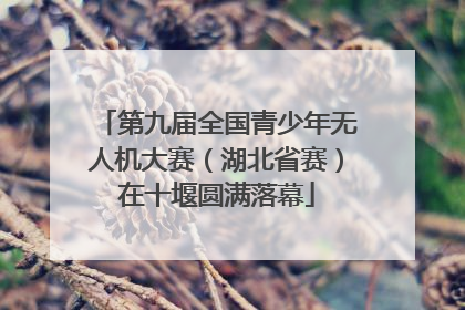 第九届全国青少年无人机大赛（湖北省赛）在十堰圆满落幕