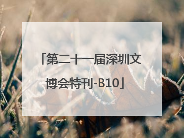第二十一届深圳文博会特刊-B10