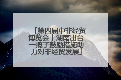 第四届中非经贸博览会丨湖南出台一揽子鼓励措施助力对非经贸发展