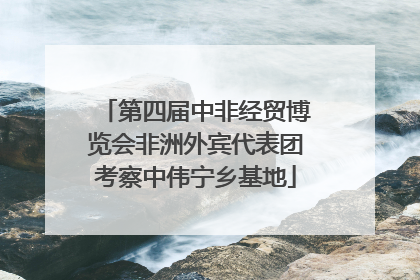 第四届中非经贸博览会非洲外宾代表团考察中伟宁乡基地
