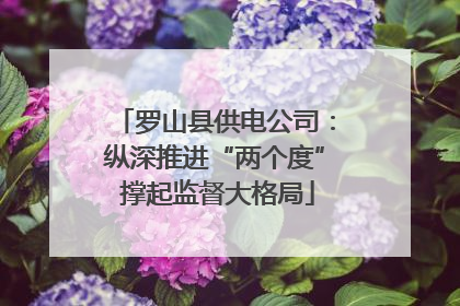 罗山县供电公司：纵深推进“两个度” 撑起监督大格局