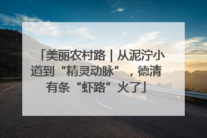 美丽农村路｜从泥泞小道到“精灵动脉”，德清有条“虾路”火了