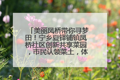 美丽凤桥带你寻梦田！宁乡夏铎铺镇凤桥社区创新共享菜园，市民认领菜土，体验耕种收获乐趣