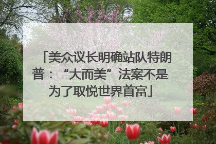 美众议长明确站队特朗普：“大而美”法案不是为了取悦世界首富
