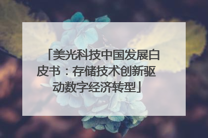 美光科技中国发展白皮书：存储技术创新驱动数字经济转型