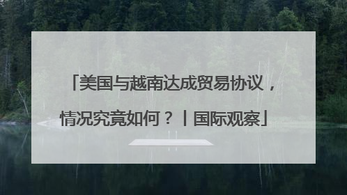 美国与越南达成贸易协议，情况究竟如何？丨国际观察