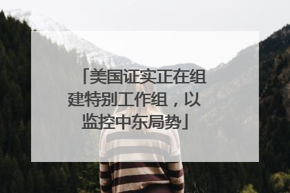 美国证实正在组建特别工作组，以监控中东局势