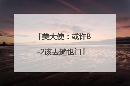 美大使：或许B-2该去趟也门