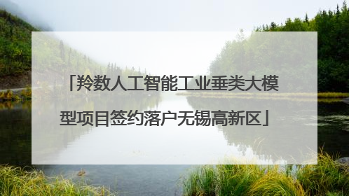 羚数人工智能工业垂类大模型项目签约落户无锡高新区
